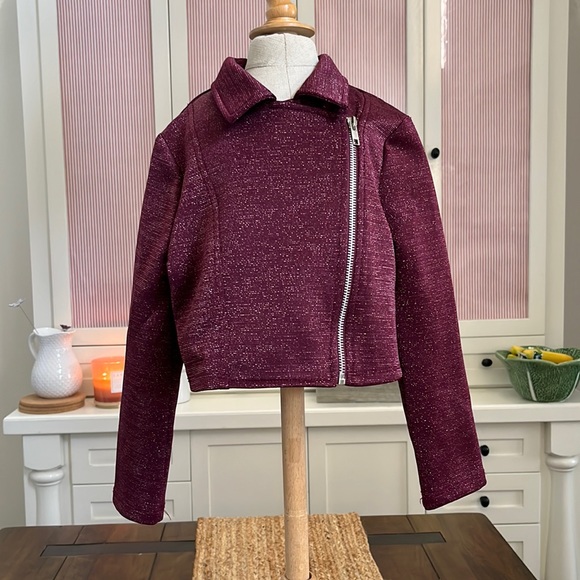 Little Girls Sparkly Purple Coat - Picture 1 of 5